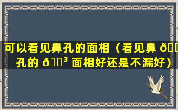 可以看见鼻孔的面相（看见鼻 🌵 孔的 🐳 面相好还是不漏好）